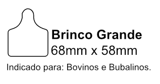 Brinco Grande