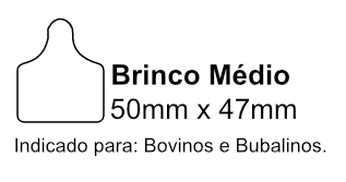 Brinco Médio